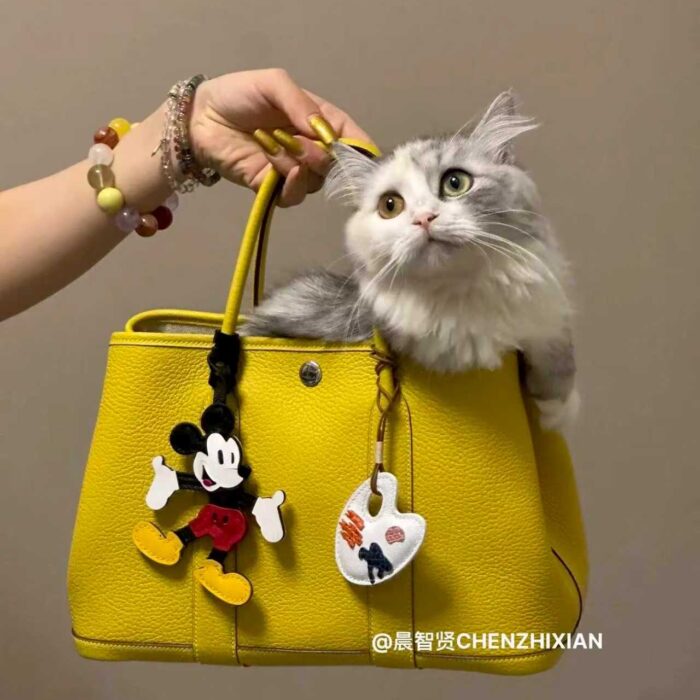 微信图片_20250829104631_230